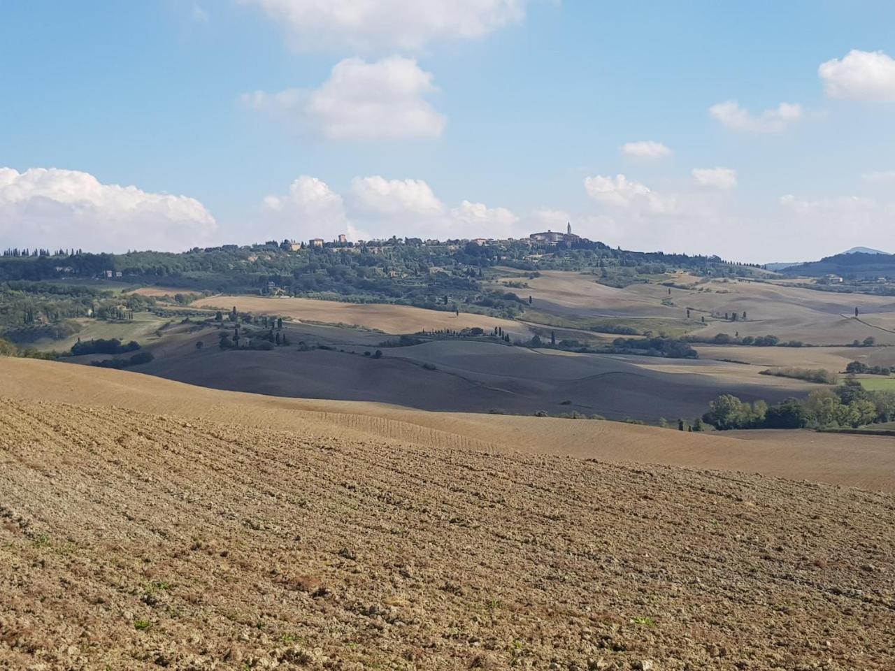 B&B Il Glicine Montefollonico Eksteriør bilde