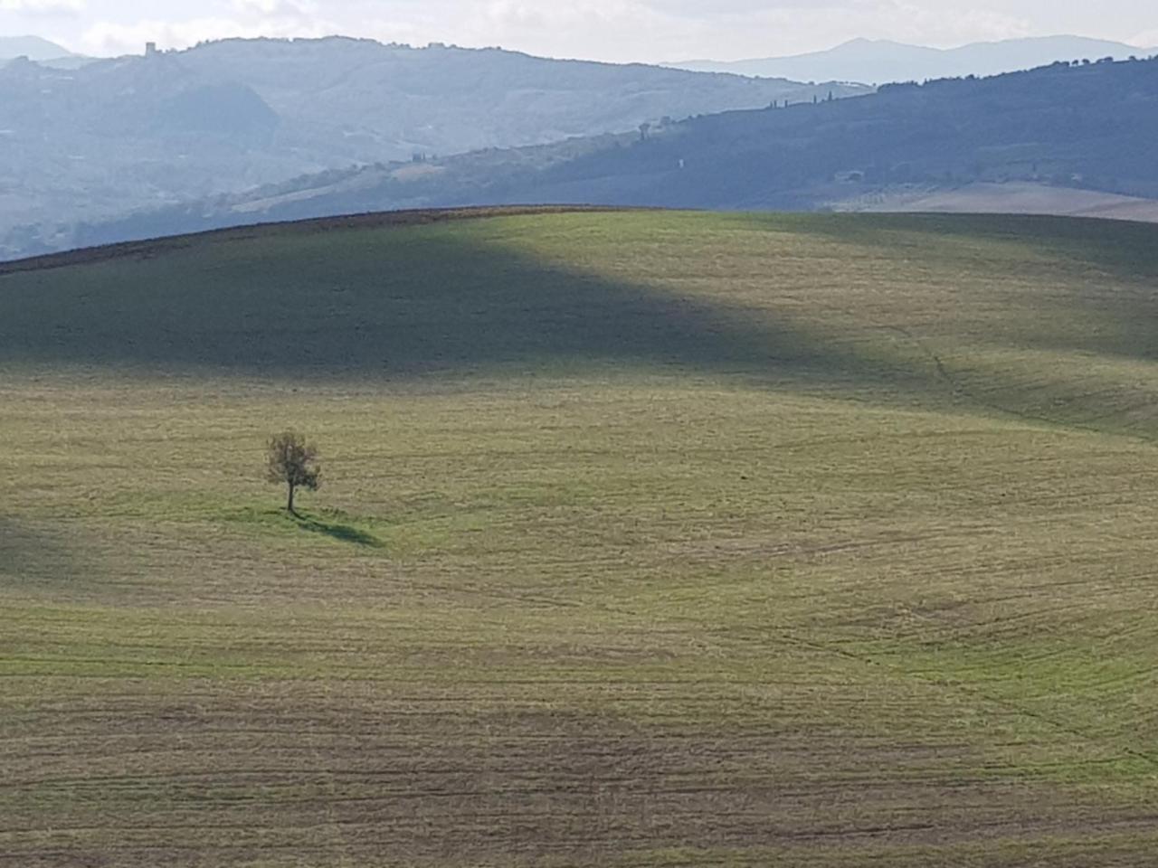 B&B Il Glicine Montefollonico Eksteriør bilde