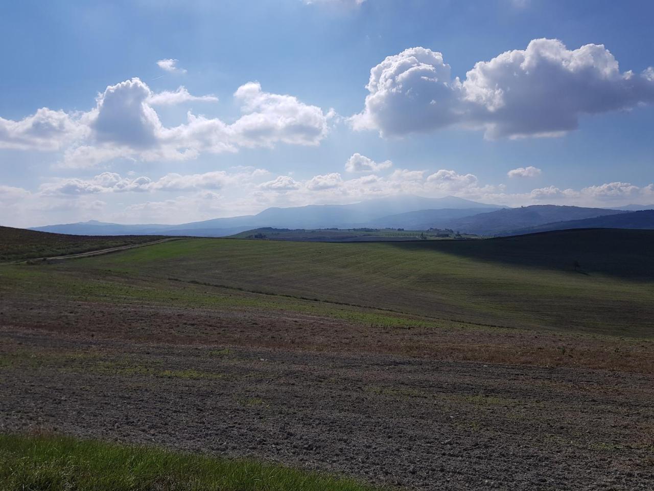 B&B Il Glicine Montefollonico Eksteriør bilde