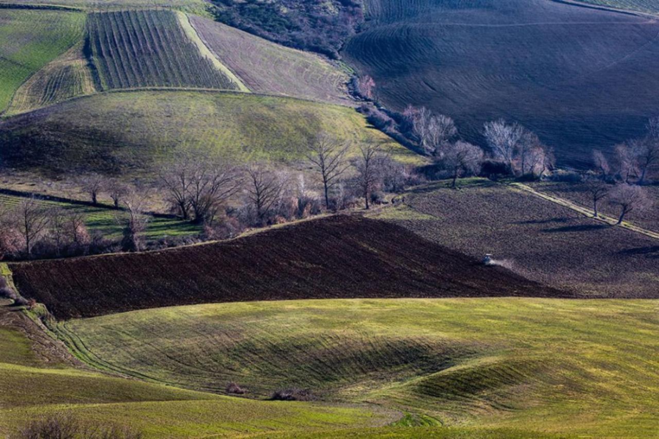 B&B Il Glicine Montefollonico Eksteriør bilde