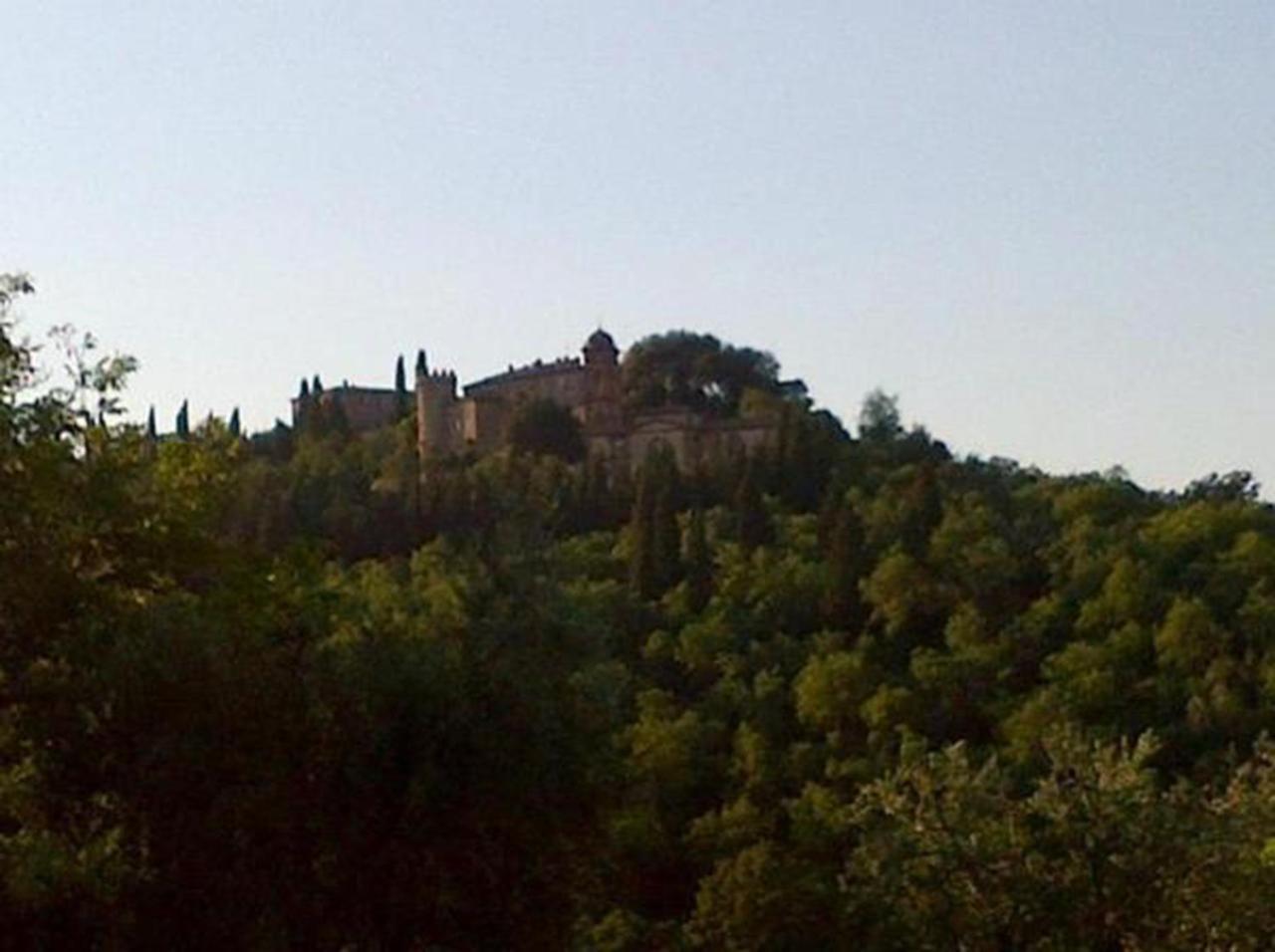 B&B Il Glicine Montefollonico Eksteriør bilde