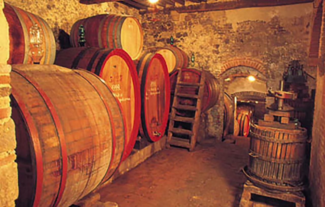 B&B Il Glicine Montefollonico Eksteriør bilde