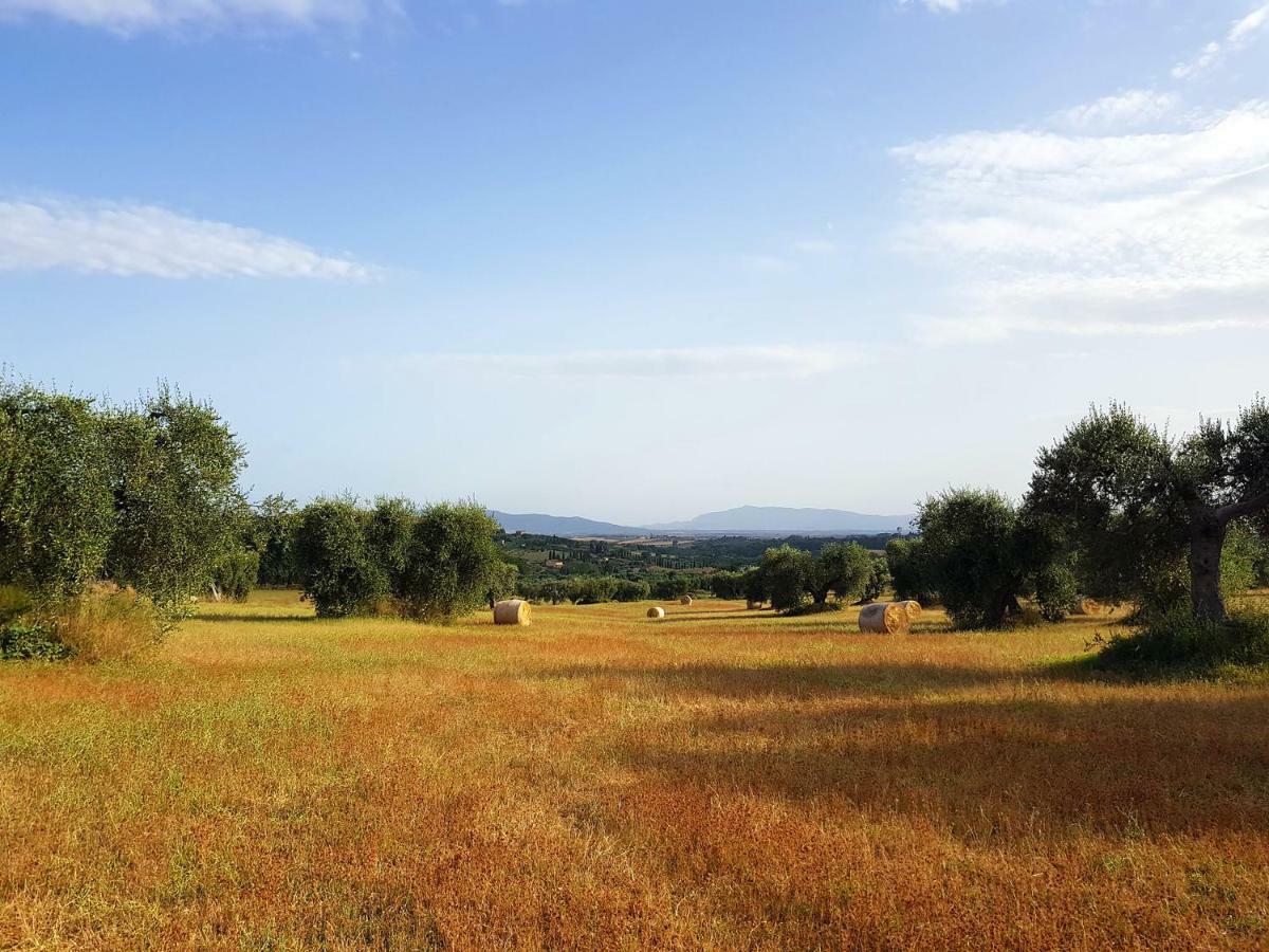 B&B Il Glicine Montefollonico Eksteriør bilde